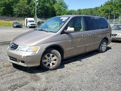 Salvage cars for sale at Finksburg, MD auction: 2003 Honda Odyssey EX