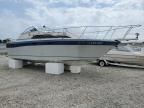 1987 Bayliner Marine Lot