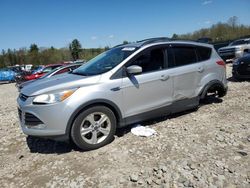 Salvage cars for sale at Candia, NH auction: 2013 Ford Escape SE