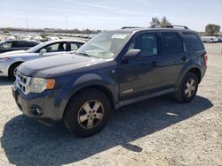 Salvage cars for sale at Antelope, CA auction: 2008 Ford Escape XLT