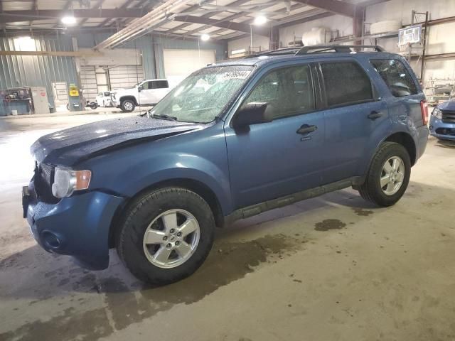 2009 Ford Escape XLT