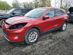 Salvage cars for sale from Copart Marlboro, NY: 2021 Ford Escape SE