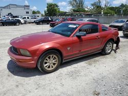 Salvage cars for sale at Opa Locka, FL auction: 2009 Ford Mustang