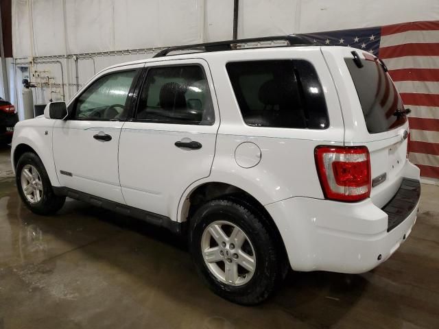 2008 Ford Escape HEV