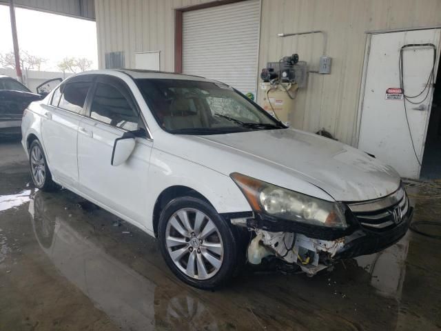 2011 Honda Accord EXL