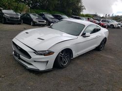 Muscle Cars for sale at auction: 2023 Ford Mustang