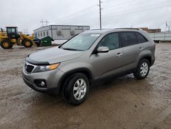 Salvage cars for sale from Copart Bismarck, ND: 2011 KIA Sorento Base