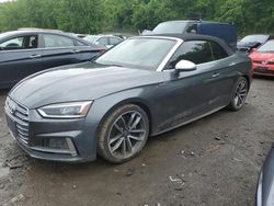 Salvage cars for sale at Marlboro, NY auction: 2019 Audi S5 Premium Plus