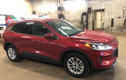 Salvage cars for sale from Copart London, ON: 2020 Ford Escape SE