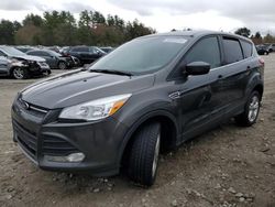 Salvage cars for sale from Copart Mendon, MA: 2015 Ford Escape SE