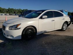 Salvage cars for sale at Apopka, FL auction: 2012 Nissan Maxima S