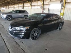 Salvage cars for sale from Copart Phoenix, AZ: 2016 Nissan Maxima 3.5S