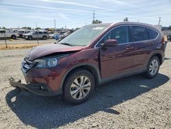 Honda cr-v exl salvage cars for sale: 2014 Honda CR-V EXL