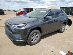 Salvage cars for sale at Brighton, CO auction: 2024 Toyota Rav4 XLE