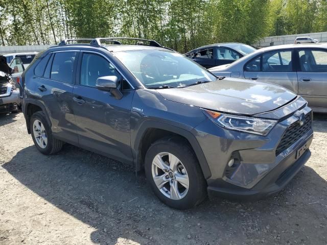 2020 Toyota Rav4 XLE