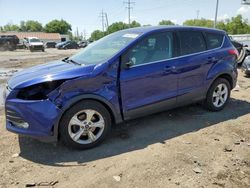 Salvage cars for sale from Copart Columbus, OH: 2016 Ford Escape SE