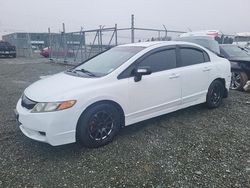 Salvage cars for sale at Cow Bay, NS auction: 2010 Honda Civic DX-G