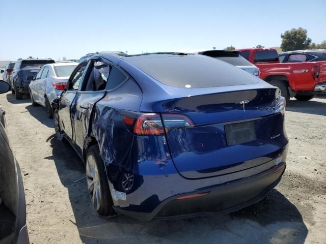 2020 Tesla Model Y