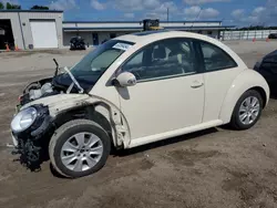 Salvage cars for sale at Harleyville, SC auction: 2010 Volkswagen New Beetle