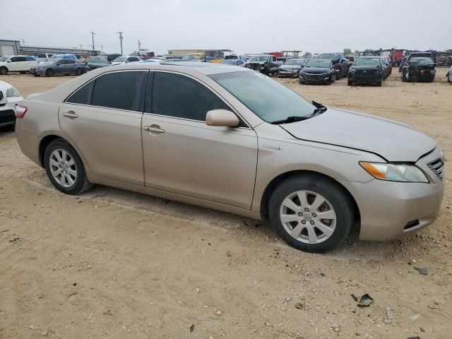 2009 Toyota Camry Hybrid