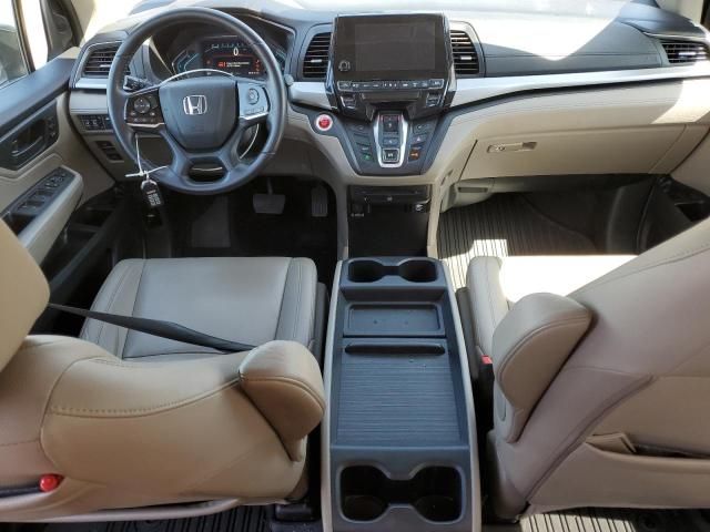 2019 Honda Odyssey EXL