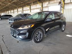 Salvage cars for sale at Phoenix, AZ auction: 2022 Ford Escape SE