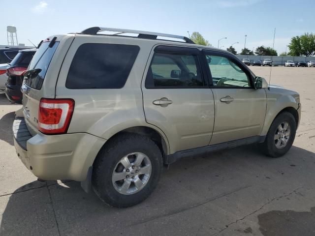 2011 Ford Escape Limited