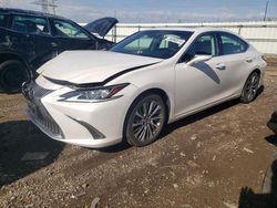 Salvage cars for sale from Copart Elgin, IL: 2020 Lexus ES 350