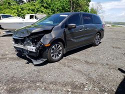 Salvage cars for sale from Copart Marlboro, NY: 2023 Honda Odyssey EXL