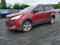 Carros salvage sin ofertas aún a la venta en subasta: 2013 Ford Escape SE