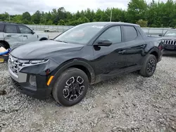 2024 Hyundai Santa Cruz SEL en venta en Memphis, TN