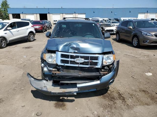 2010 Ford Escape XLT