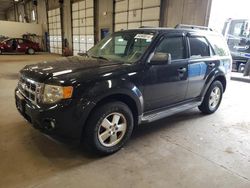 Salvage cars for sale from Copart Blaine, MN: 2011 Ford Escape XLT