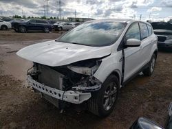 Salvage cars for sale at Elgin, IL auction: 2013 Ford Escape SE