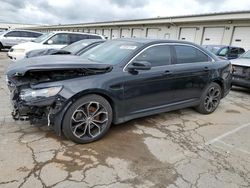Salvage cars for sale from Copart Louisville, KY: 2013 Ford Taurus SHO