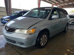 Salvage cars for sale from Copart Homestead, FL: 2003 Honda Odyssey EX