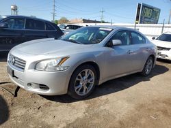 Salvage cars for sale from Copart Chicago Heights, IL: 2013 Nissan Maxima S