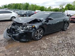 Salvage cars for sale at Pennsburg, PA auction: 2021 Nissan Maxima SV