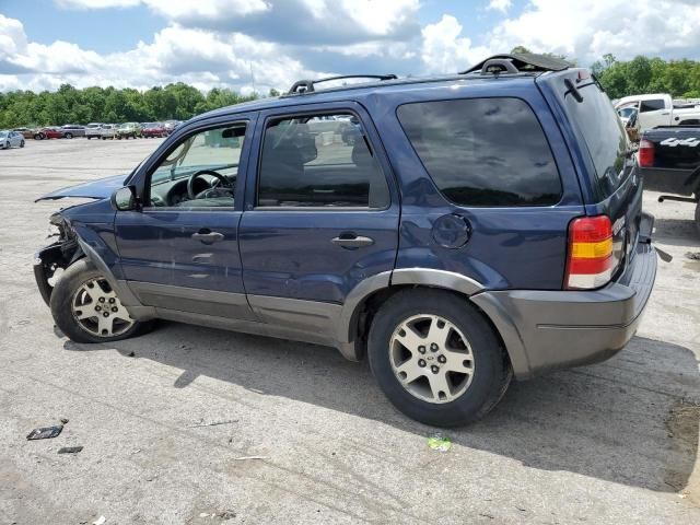 2004 Ford Escape XLT