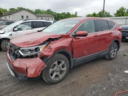 Salvage cars for sale at York Haven, PA auction: 2019 Honda CR-V EXL
