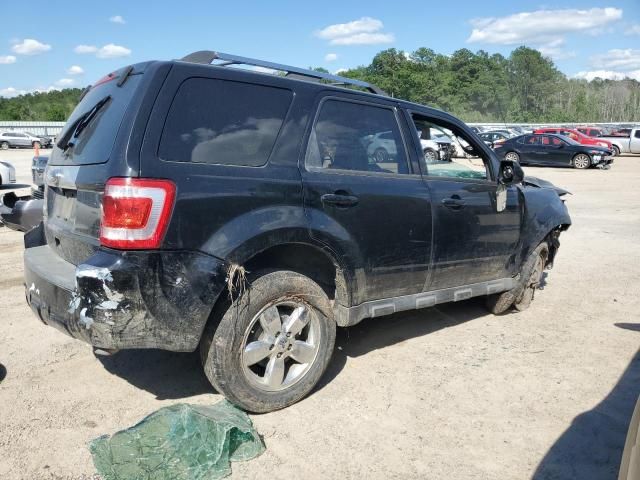 2010 Ford Escape Limited