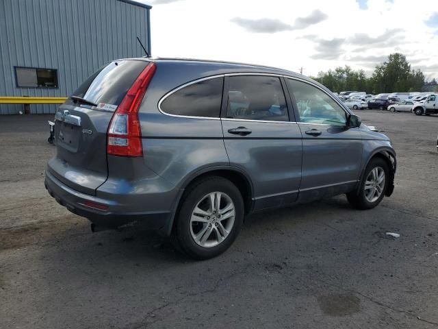 2010 Honda CR-V EXL