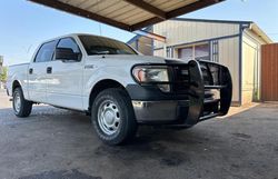 Salvage trucks for sale at Oklahoma City, OK auction: 2013 Ford F150 Supercrew
