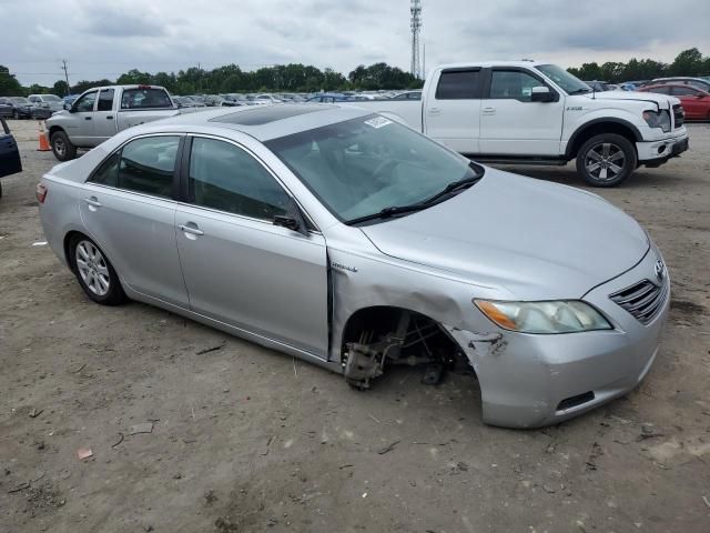 2009 Toyota Camry Hybrid