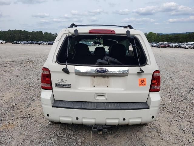 2012 Ford Escape Limited