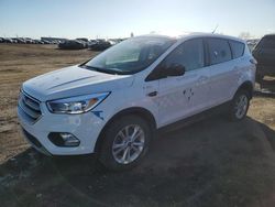 Salvage cars for sale from Copart Rocky View County, AB: 2019 Ford Escape SE