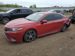 Salvage cars for sale from Copart Columbia Station, OH: 2019 Toyota Camry L