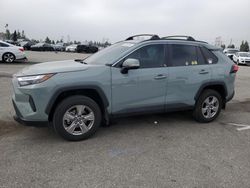 Toyota rav4 xle Vehiculos salvage en venta: 2023 Toyota Rav4 XLE