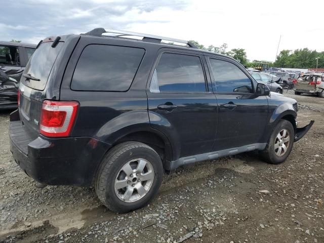 2010 Ford Escape Limited