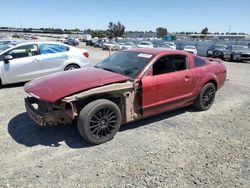 Salvage cars for sale at Antelope, CA auction: 2006 Ford Mustang